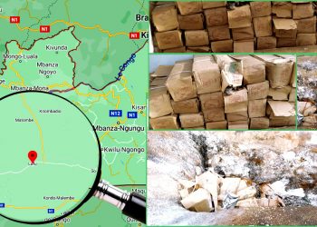 Incinération des produits impropres à la consommation  appréhendés par les services de l’OCC au Kongo-Central