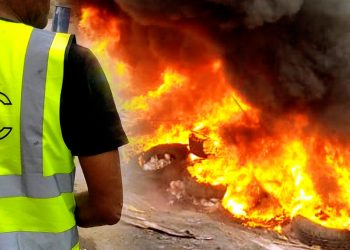 Destruction des poulets avariés à Palabala au Kongo-Central.