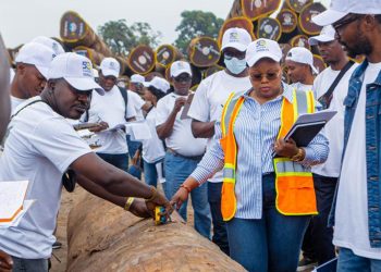 TRAVAUX PRATIQUES : Formation sur l’inspection du bois
