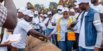 TRAVAUX PRATIQUES : Formation sur l’inspection du bois