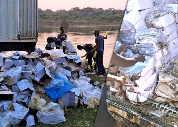 OCC/Haut-Katanga : Destruction de plus de 2 600 cartons de poissons avariés.